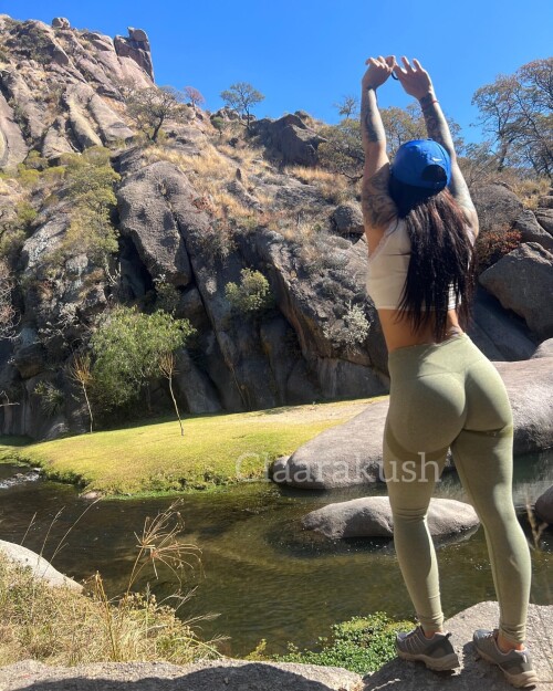 53f3fdcdacea488d06a4a00638a12e7a