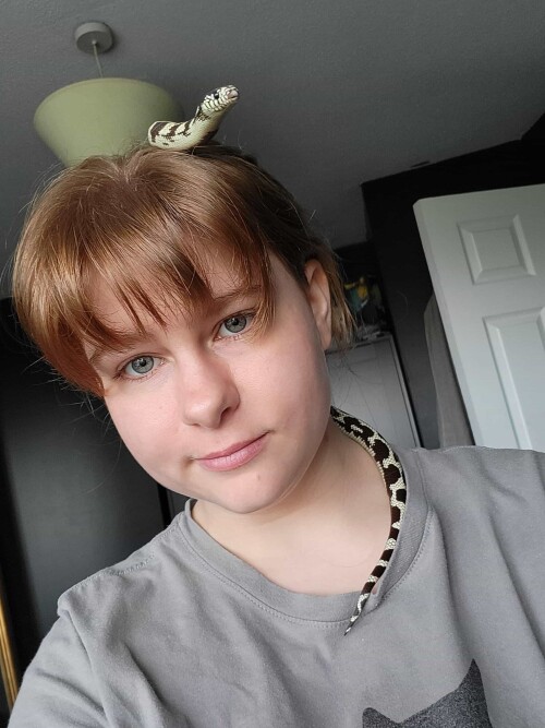 92b2f31f4bc40ec3a7fdd5393cc56f06