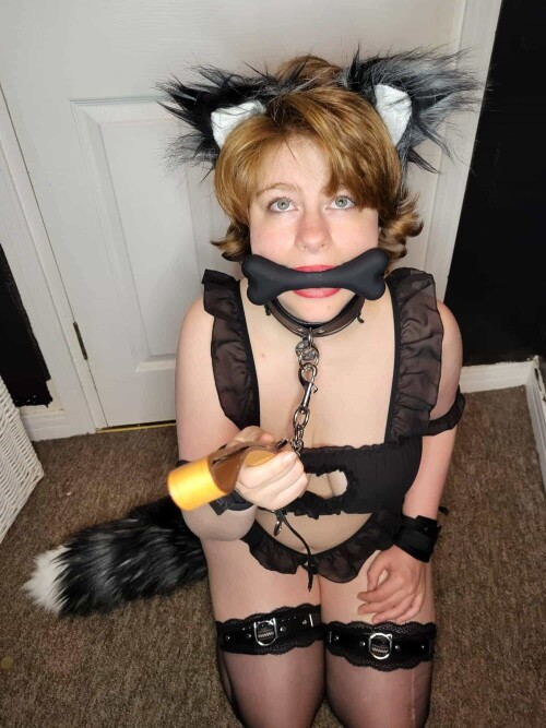 cd9f97fd0188d9d0d48f5e18a4183fcb