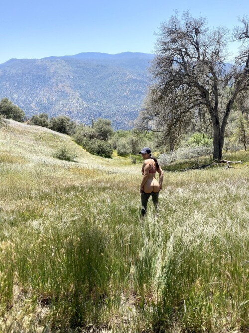 921c5aeafebcbf3bed4583befed3e926