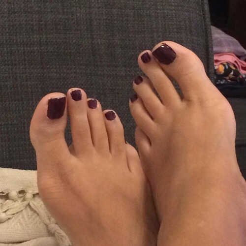 00630d58ef8d58f2638e2a74cc8cd459