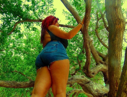 1d2a30802988fb21292bebf45b6f4b35