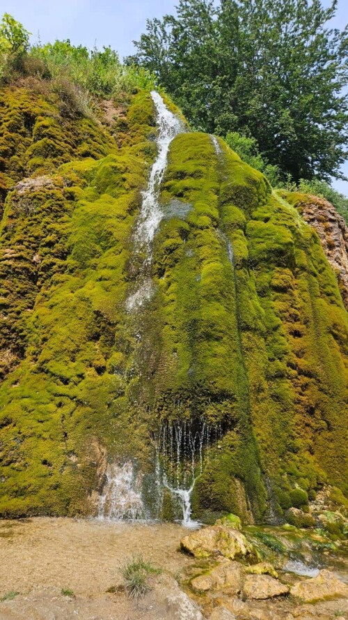 35fc658fa535aad77c8308553d601870