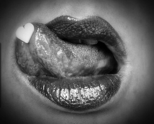 514f7c0b4bb29c38677c3ecb260c4c10