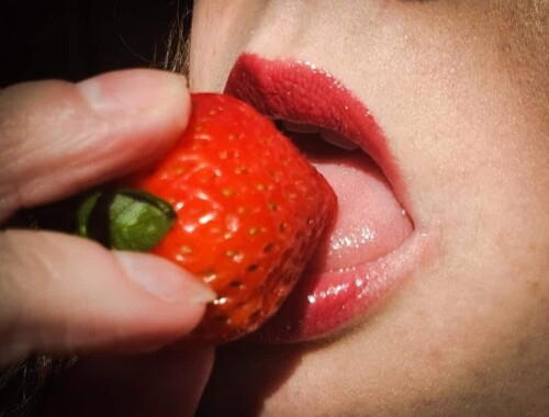 6645e87db6788e94ea38e3b20bd93fe2