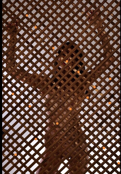 727819c59dde696303a3fef188156b3f