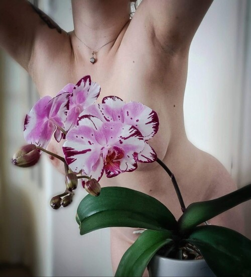 7aa38e895a1514b24d70babc17cb546f