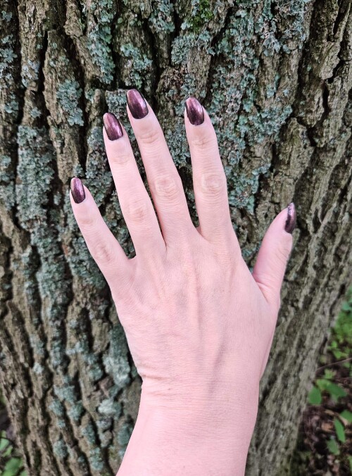 fd8d66d11e7a5aee7fc6e014a573c450