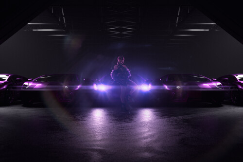 2e3588b475a3d6d8360faa0ff6ece693