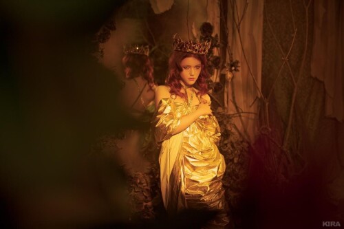 4545e6856011f289ac2f3768d3095937