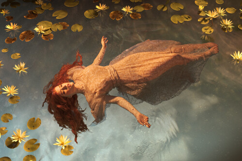 4a5dc72229c584bcac97624ac7237046