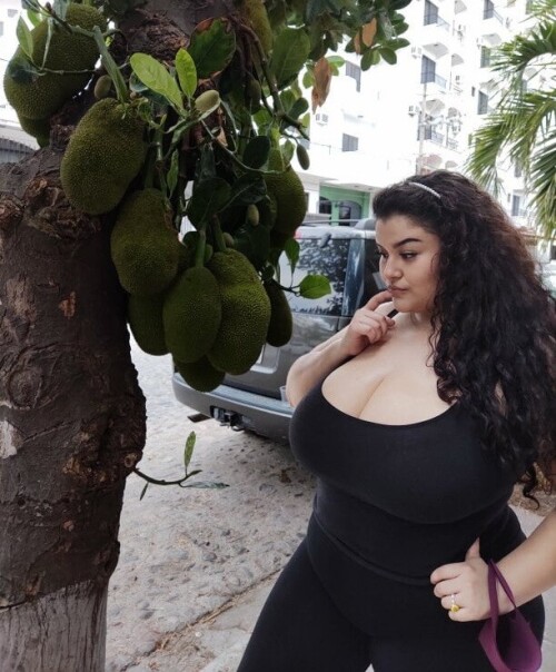 b2cc41a55ce3d416499ded5ae60dc4d1