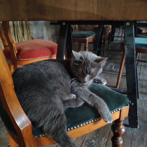 bf28bd8a441374843b2f09dc804d255e