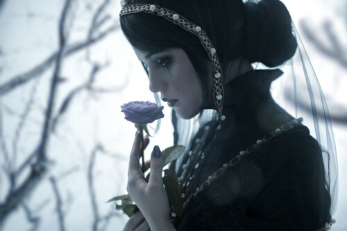 f7b20b540d3e9f501ebc3ac1bc68a172