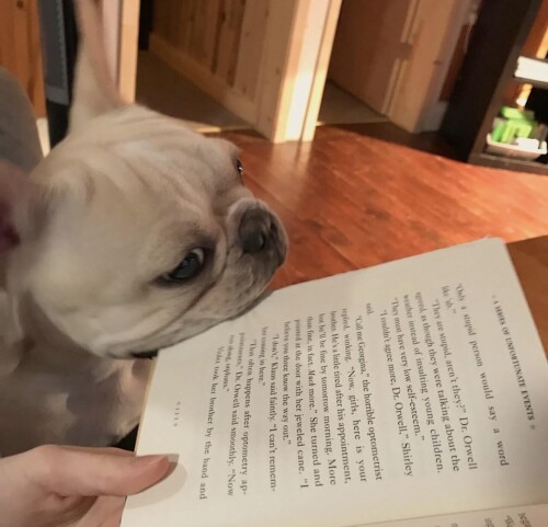 180138f059102ab67311ab9ae1778c9b