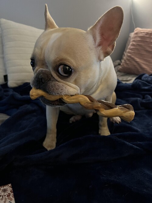 4da728b62a2dcc422d2c05da5043da3e