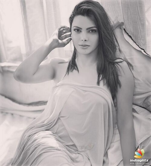 5ef3622a884af855d0748ed577fd5024