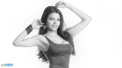 d05166009502043dcf07a1c5efa49aa7