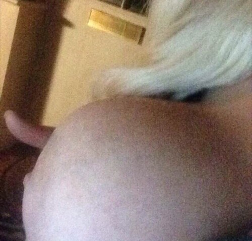 224220050cead56bc8e13eb954aaac57