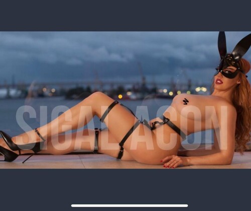 a5386ebd7dbc09b78f8f4715e35ac006