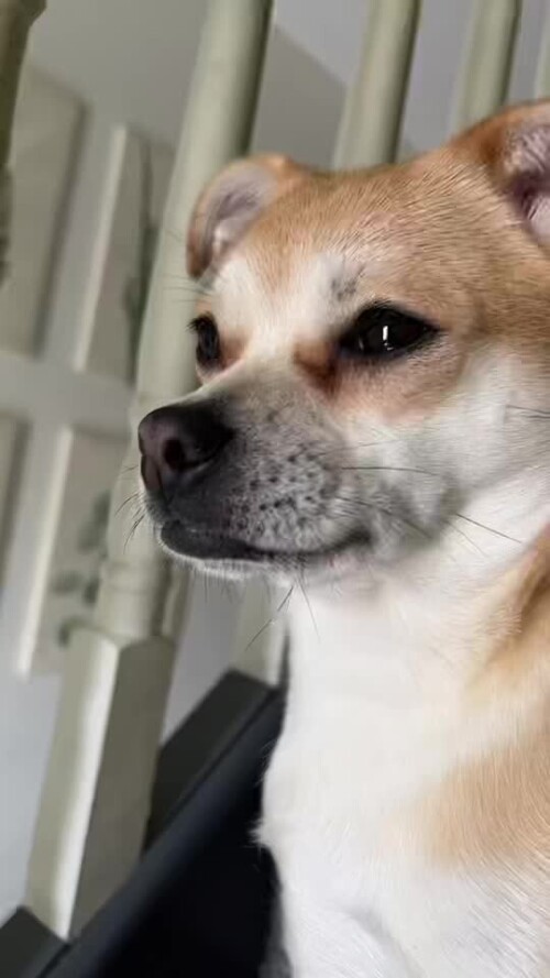 35cf2ee762956f09b1dcd1aaee8e6307