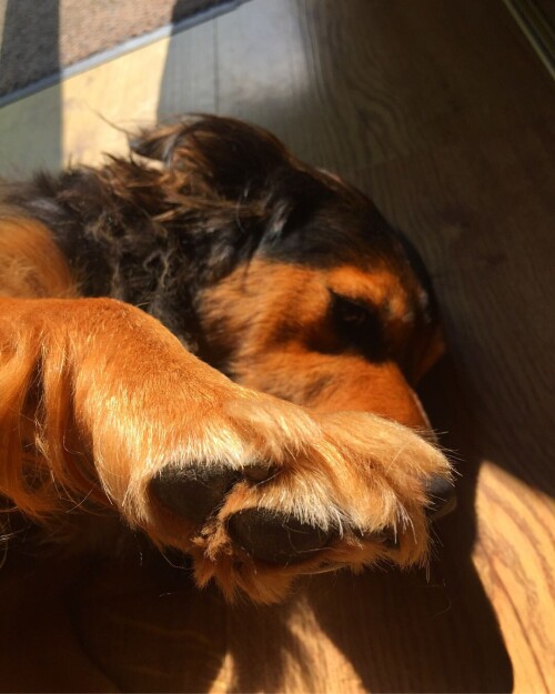 9bb70b3c048bde495f886edd5b4d5182