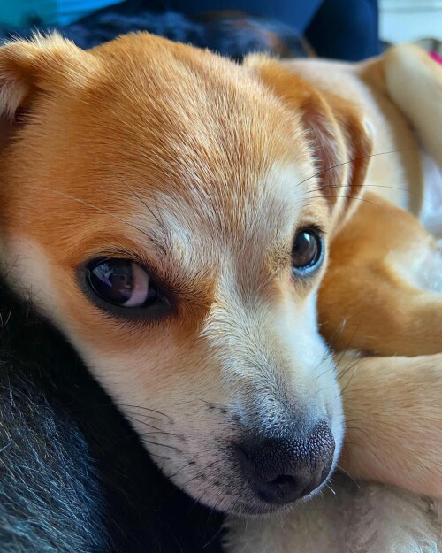 9de2f195a21a738ad849b5d629ab498e