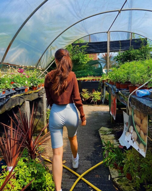 e771ba7b79fb35dc4187d1109418cad7