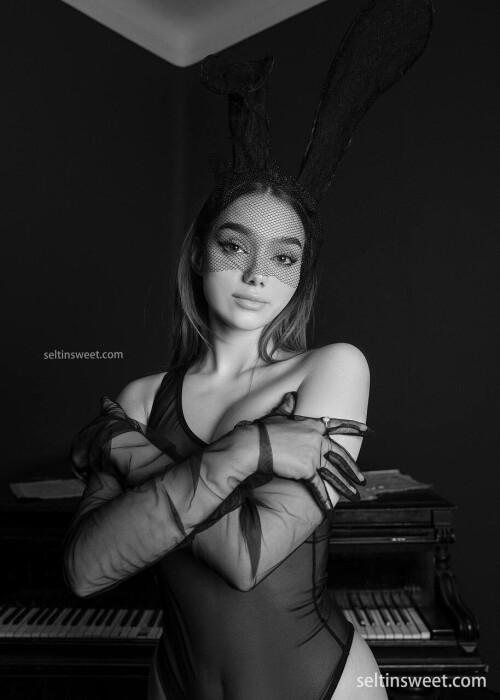 bd4052e91352e308a7a082385a85e735