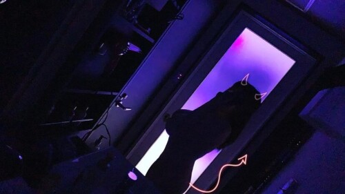 3295045555c4980a1e0c65a438dfa22a