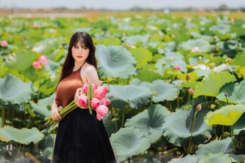 eff62234942f98b335cabd01553401ee