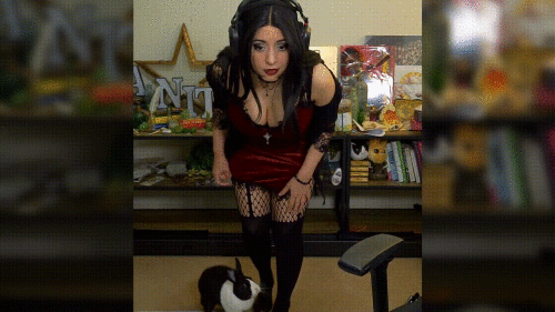 0bdf1f6c788b748f46add6a2e4582d4f.gif