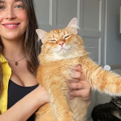 078978c888328490eccd20a97112b985