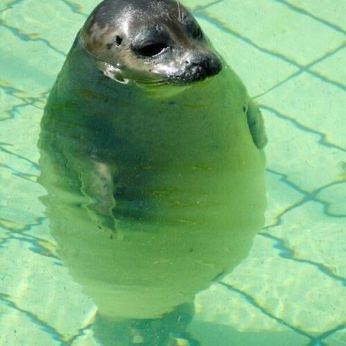 154e889e5a3340b70badf55f8fa83e46