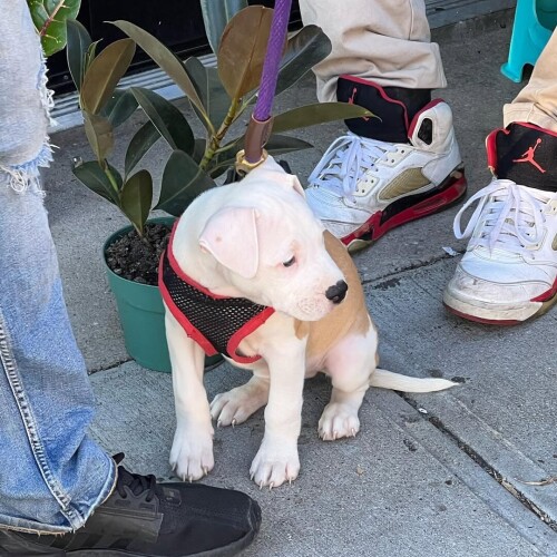 23915c81615d338ed74964f42bbe69ca