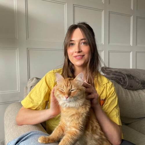 25a2590b83b56ad322f3a203d445d564