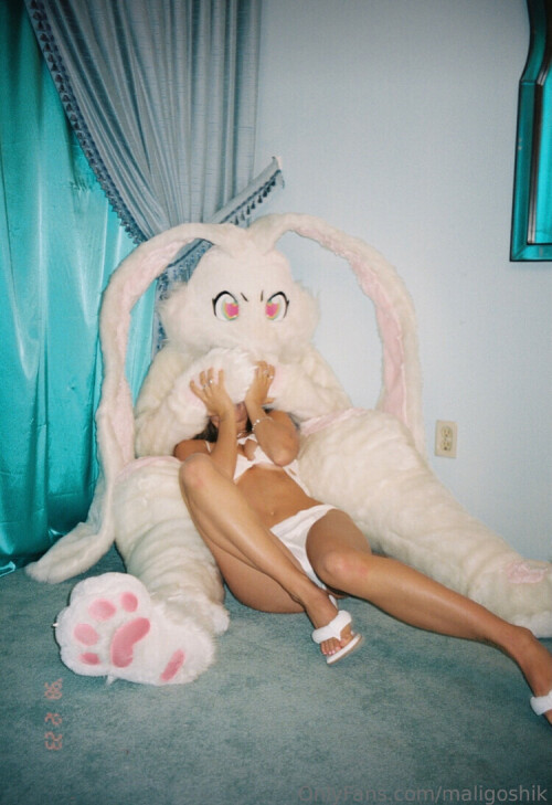 290a48bd69fd7d1a21a5fd5f94374e6c