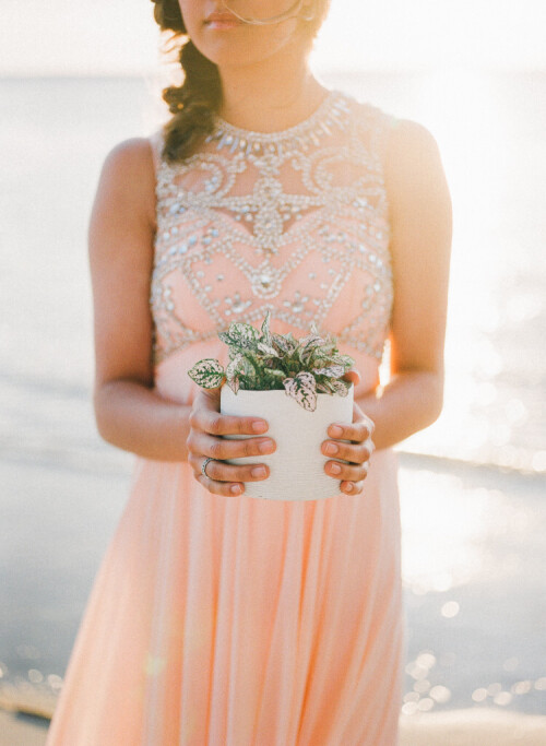 2fc21b129d97ef8aed4bf24935a63b1f