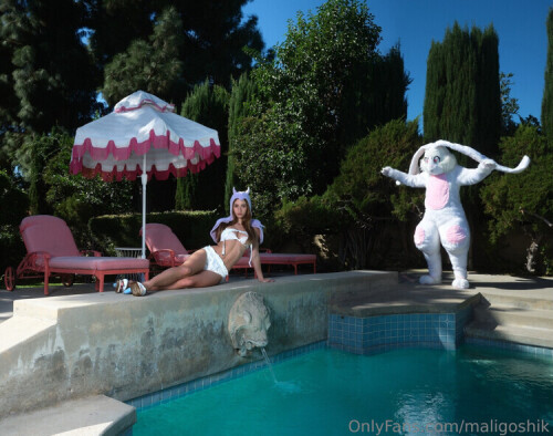 768bec95b9c66d7cf1a164d1b3e3ea88