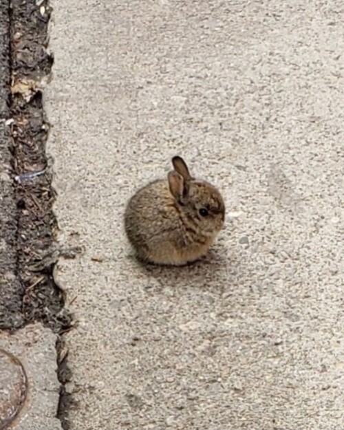 a2c84fa5d8aca628d62d44164ad4a799