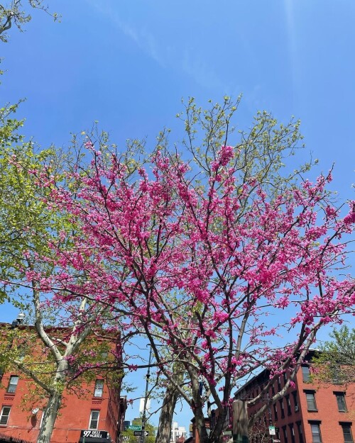 b28c9e225892c92621289f93d6257f25