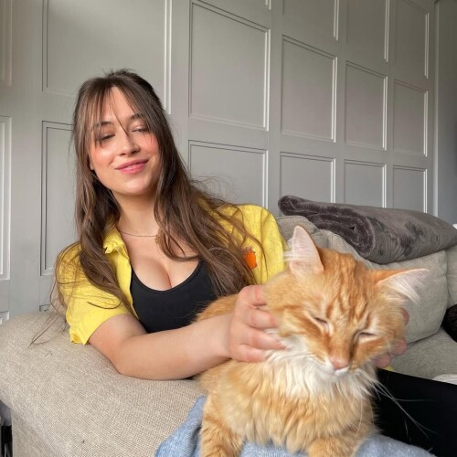 ca49a15d8a8c482dfb4929ce18c5800a