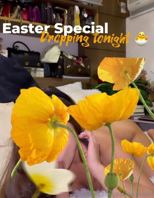 1523e978eea615c0ae4674f4f0c8fbaa