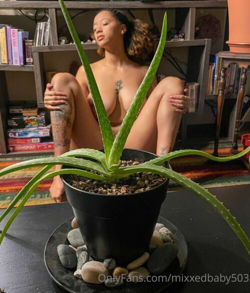 9943206e8c13e63c64cba48d43c1f956