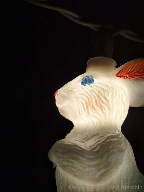 b7d674a6472b7aa117517157240d9ec7