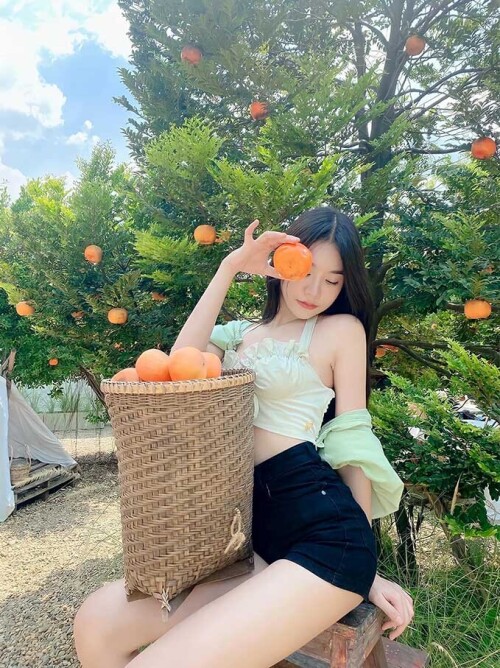 2e993a2b10967f2fe06873ae0717ced3