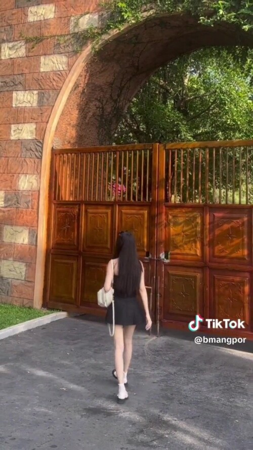 3544d5c4ad2c0ddd8a35d2cb13daf886