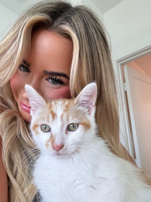 6bc5837db875e83091f80d0eb611904c