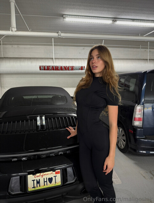 1046ee2743fed0a044eac45fe2fb7293