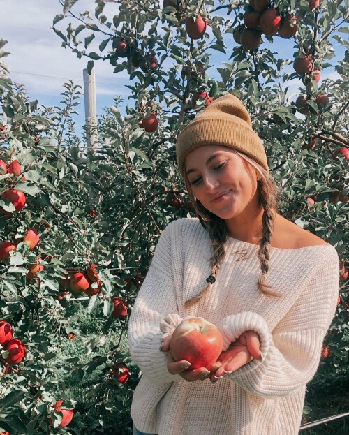 490765f7b7c2f98a878ffb343dad30a2